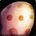 Raptor Egg