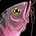 Bloodfin Catfish