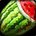 Snapvine Watermelon