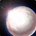 Jaggal Pearl