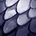 Shiny Fish Scales