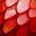 Incendosaur Scale