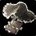 Raw Black Truffle