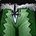 Huntsman's Leggings