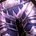 Abyssal Plate Legplates